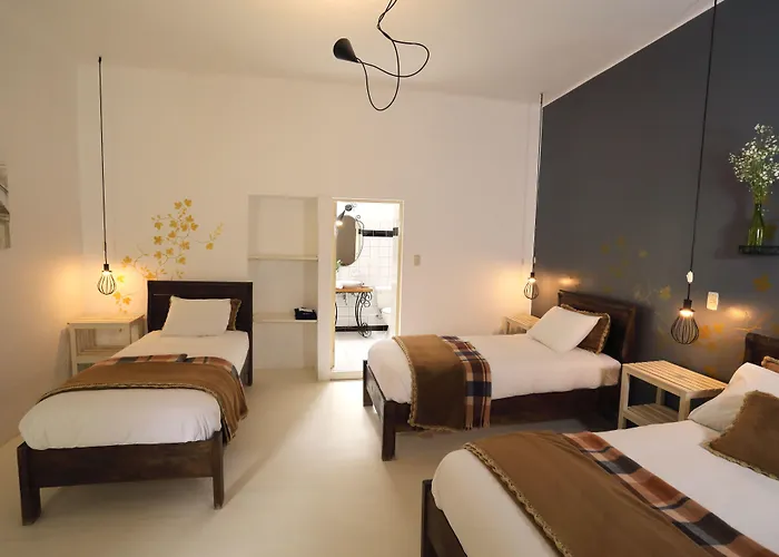 Hotel Ninos Meloc 2*